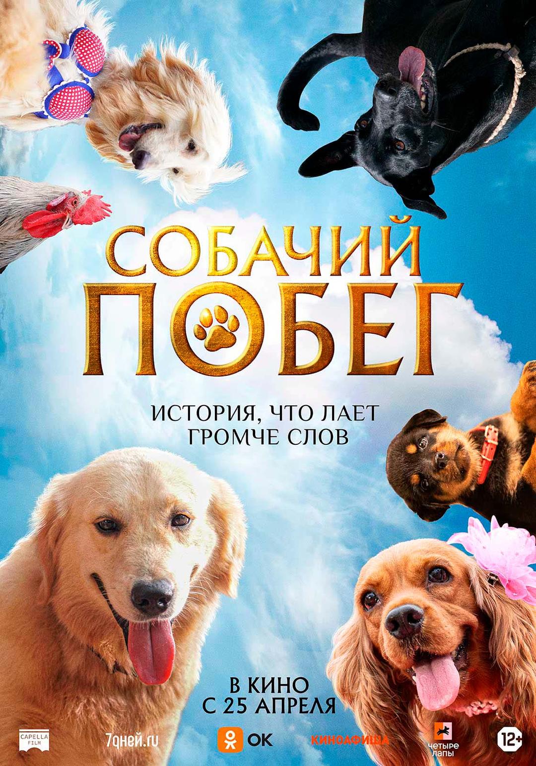 Собачий побег  (12+)